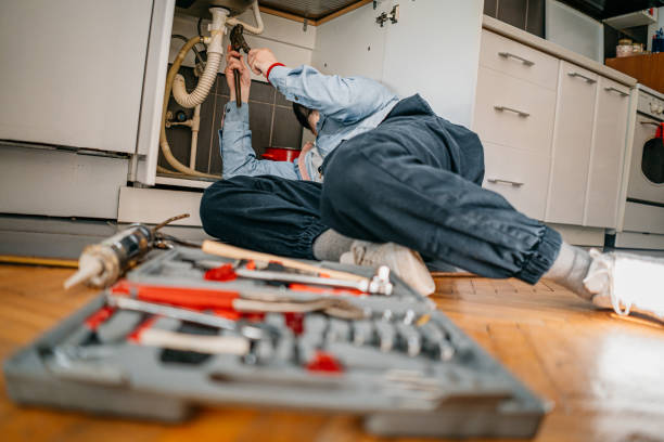 Best Toilet Repair Services  in Guntersville, AL